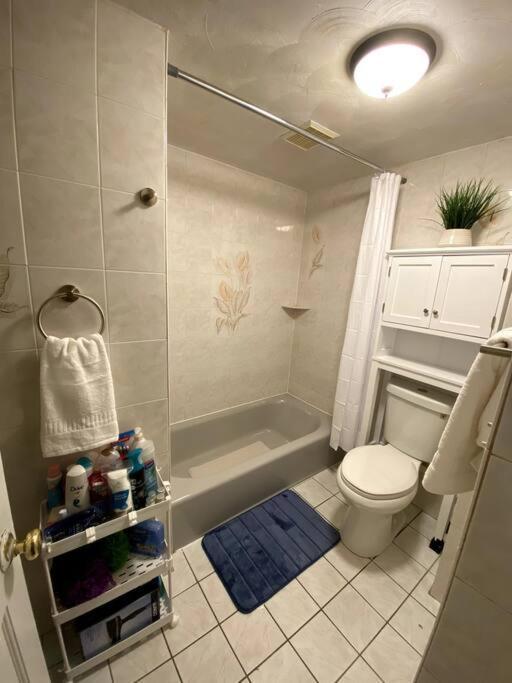 Apartment Glorious Near Downtown With Washer/dryer Gloucester